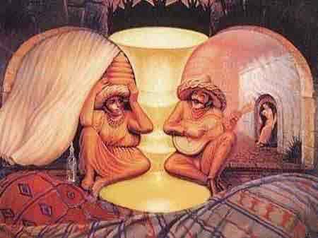 Old and Young Optical Illusion