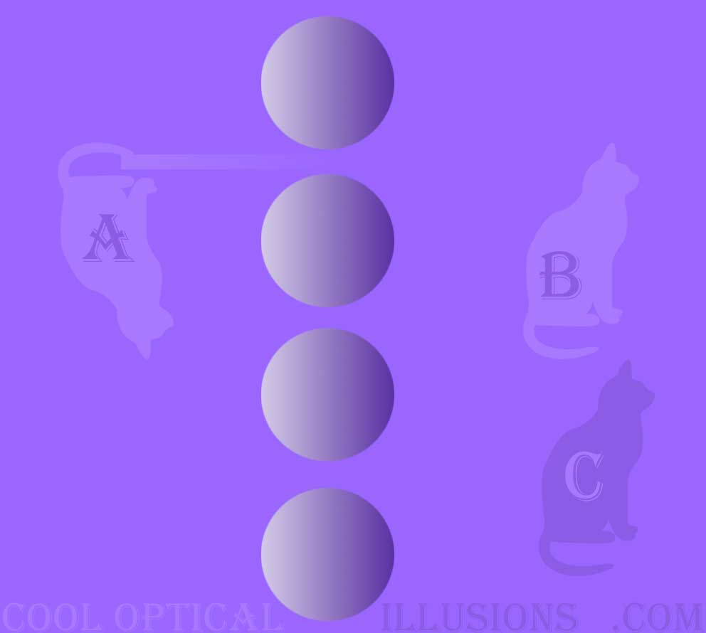 purple cat multiple illusion (balls and cats)