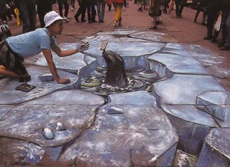 The Seal- Optical Illusion Chalk Drawing