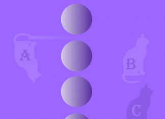 Purple Cat- Multiple Illusions