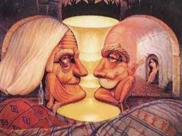 Old or Young- Crazy Optical Illusion