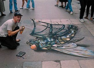 Dead Fly- Optical Illusion Chalk Drawing