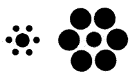 Which Dot Is Bigger?