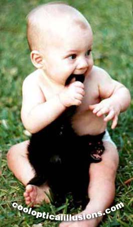 Baby Takes a Bite Out of the Tail of This Cat