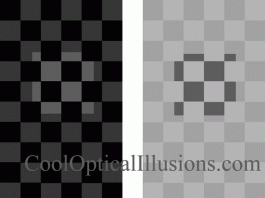 Gray Checerboard Illusion