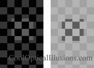 Gray Checerboard Illusion