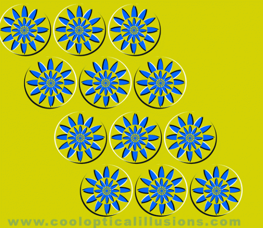 Spinning Flowers
